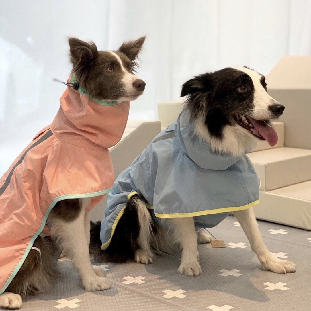 Sheltie raincoat on sale