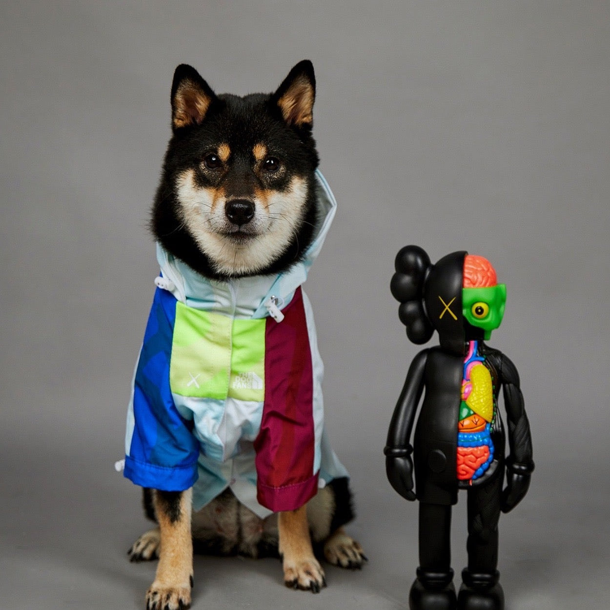 The Dog Fans Rain Jacket XX Light Color