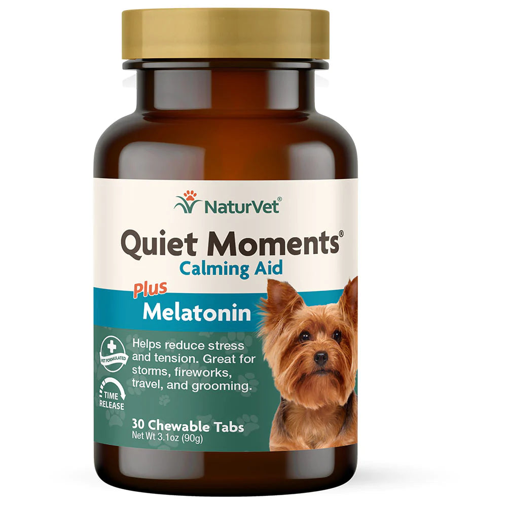 Quiet moments calming aid online for dogs