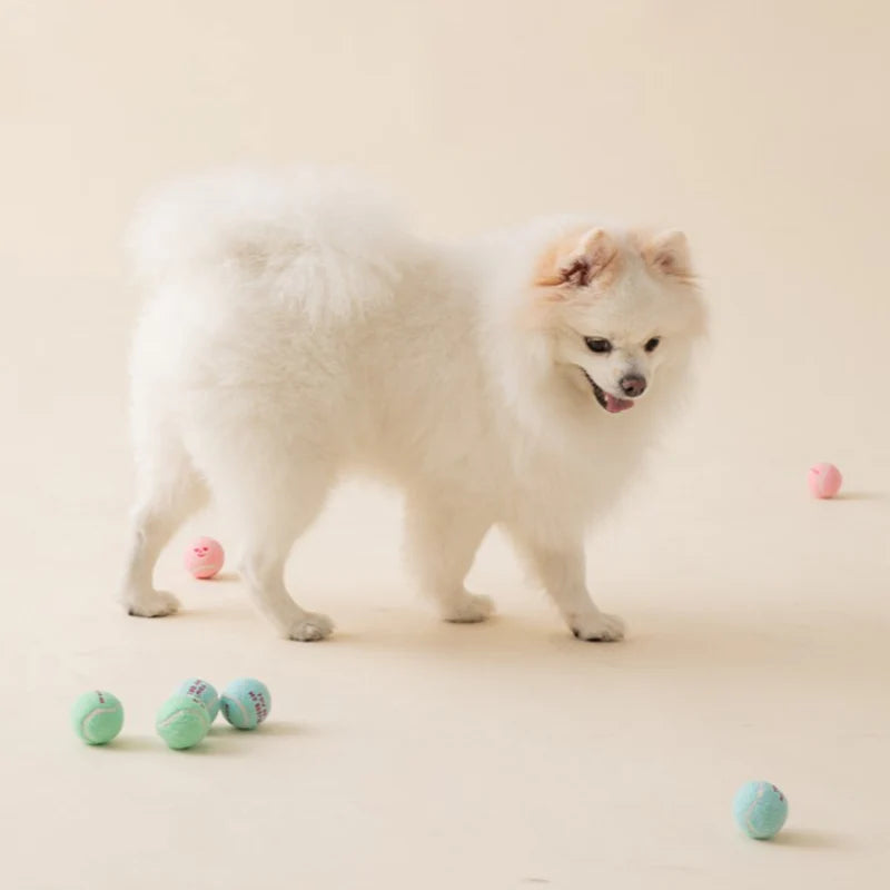 BITEME Mini Tennis Balls Toy