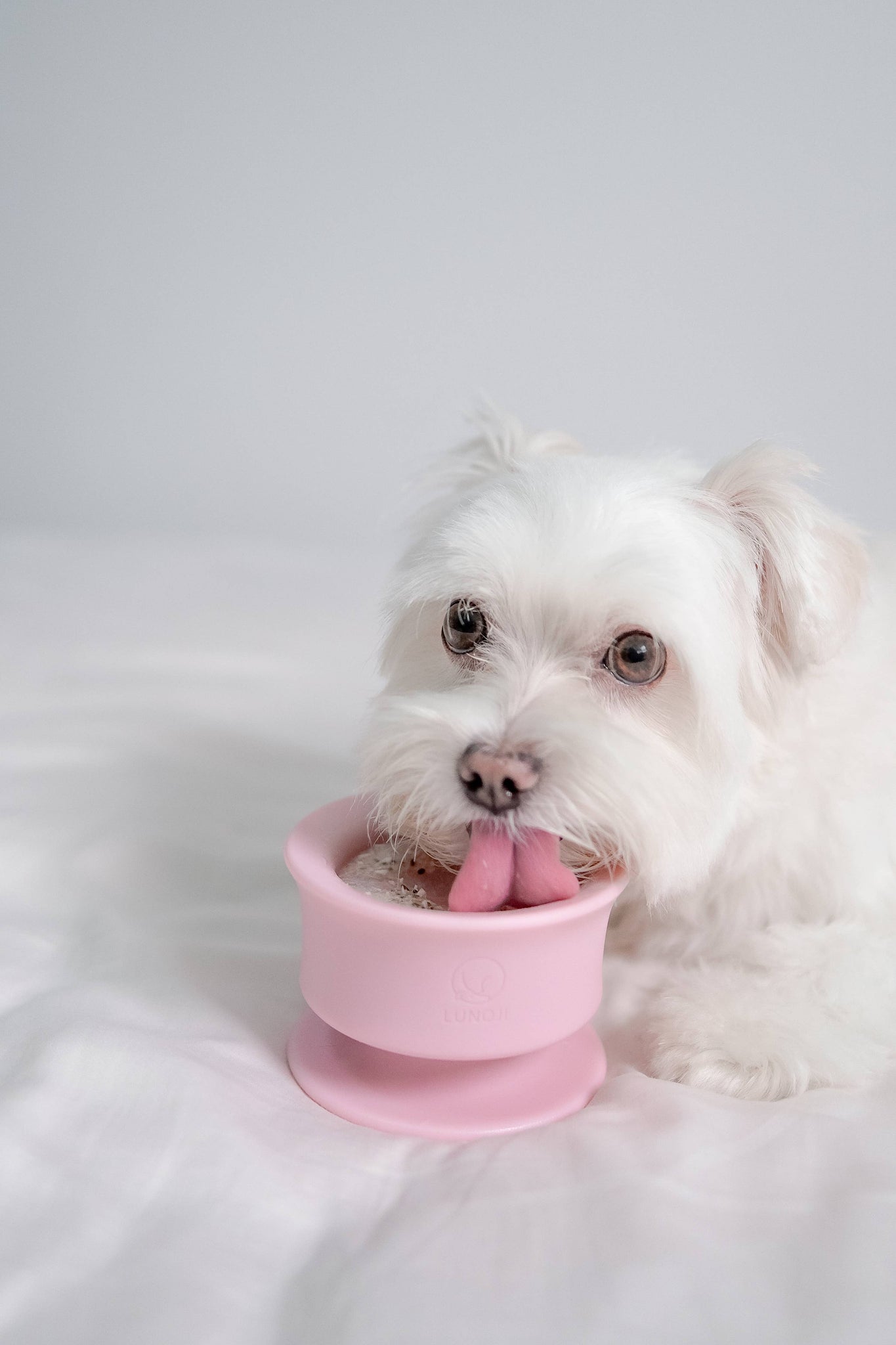 Lunoji - CHEWDEN Trove: Dog Enrichment Feeder | Frozen Treat Cup: Sakura Pink