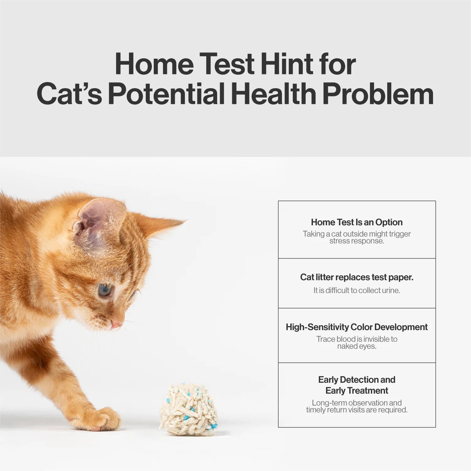 pidan Cat Litter Tofu Mix with The Occult blood test particles