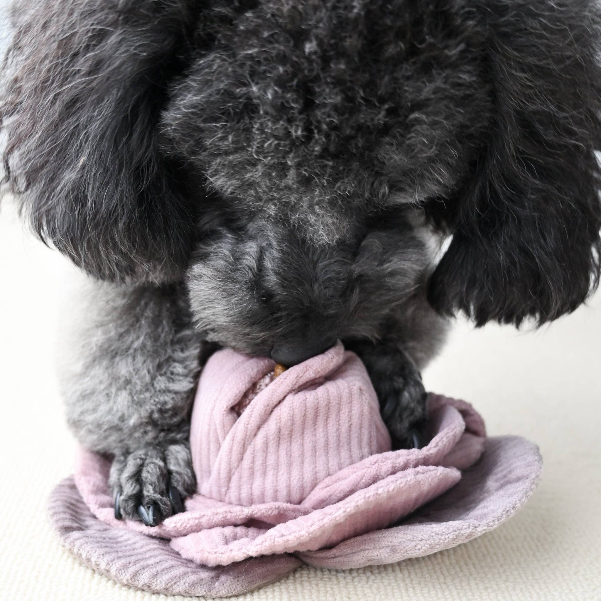 Lambwolf Collective - CABBAGE POPT - Green