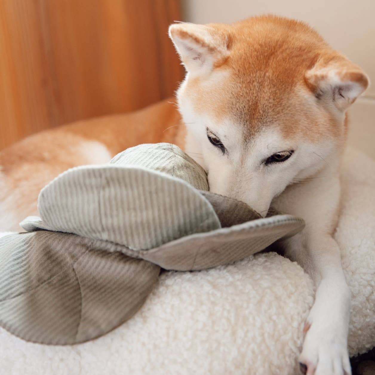 Lambwolf Collective - CABBAGE POPT - Green