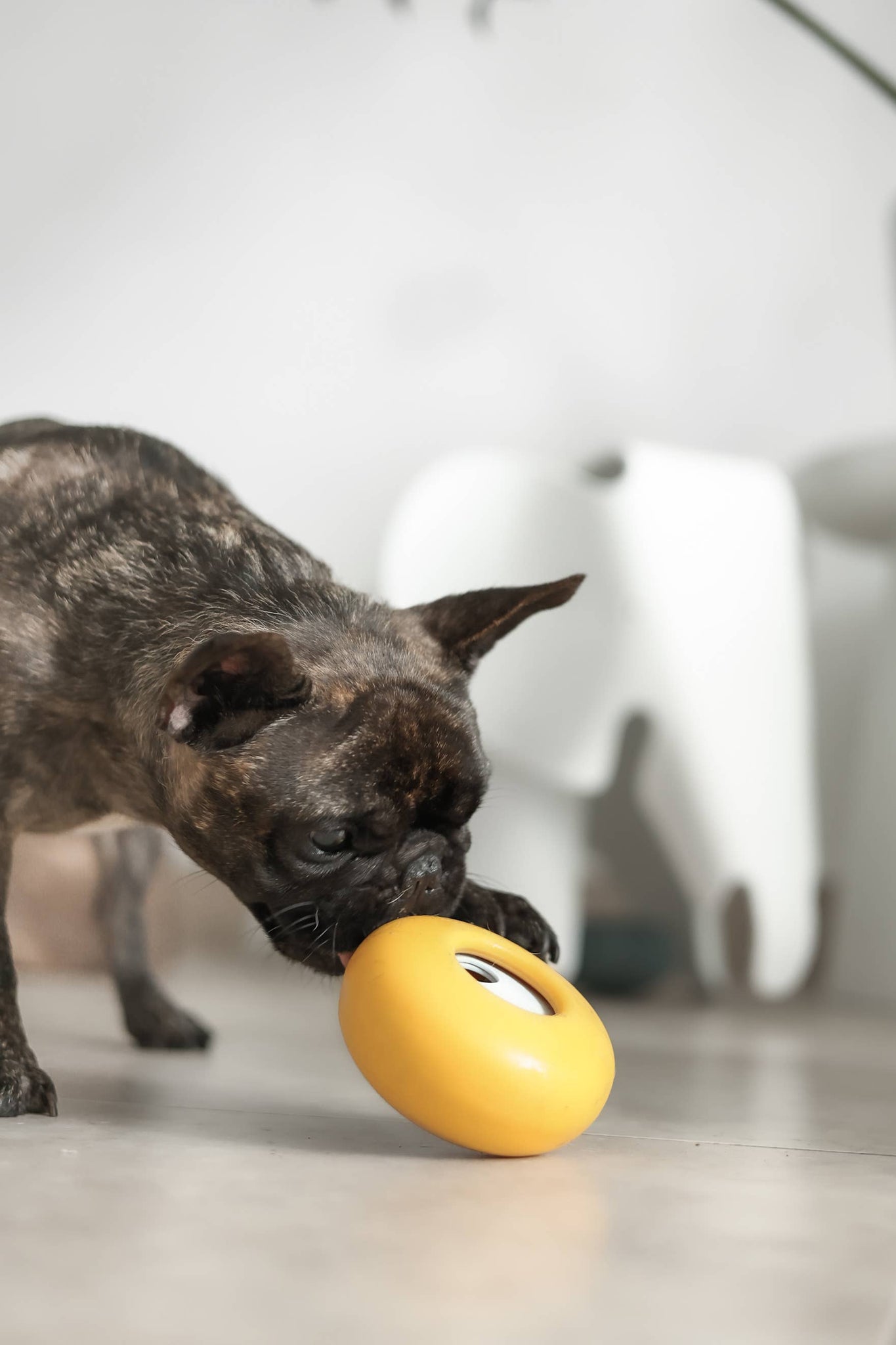 Lunoji - Pebble: All-in-One Dog Toy | Slow Feeder + Treat Dispenser: Citrine Yellow