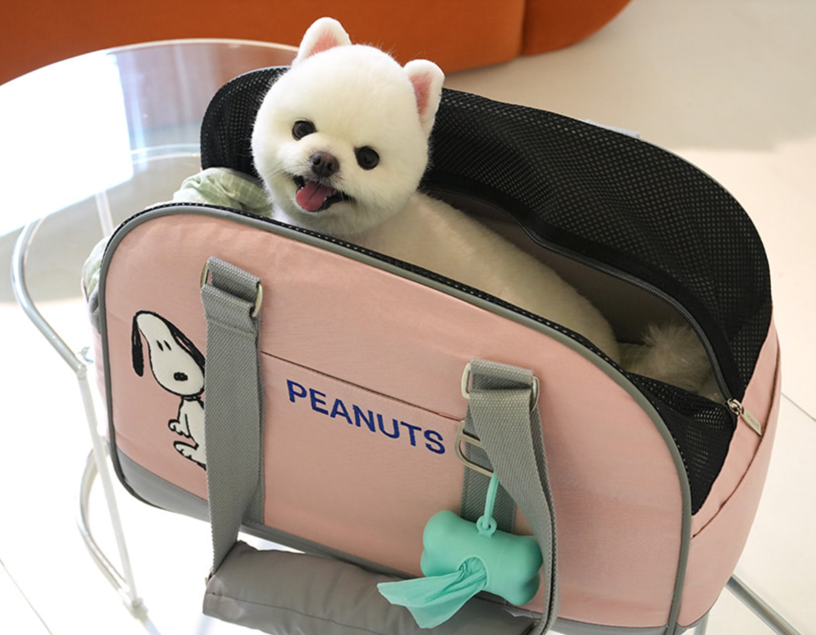 Parisdog Peanuts Pet Carrier Bag