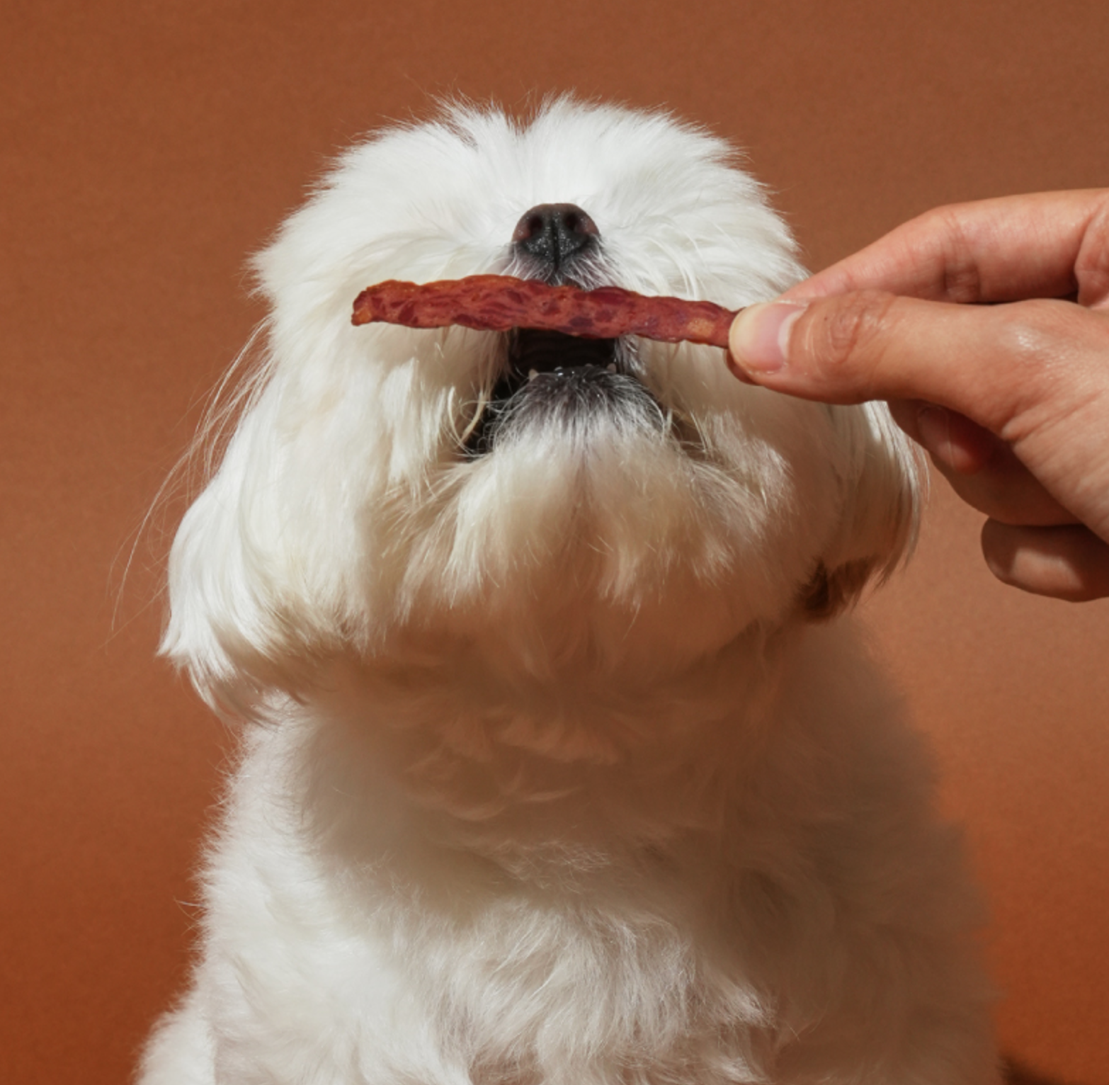 Natural Core Sticks - Duck