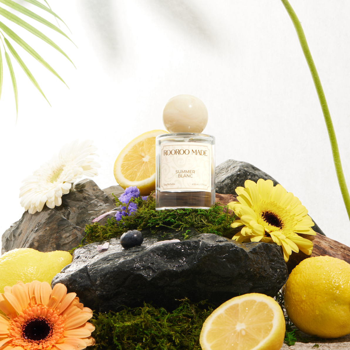 ROOROO MADE Dog Perfume | SUMMER BLANC
