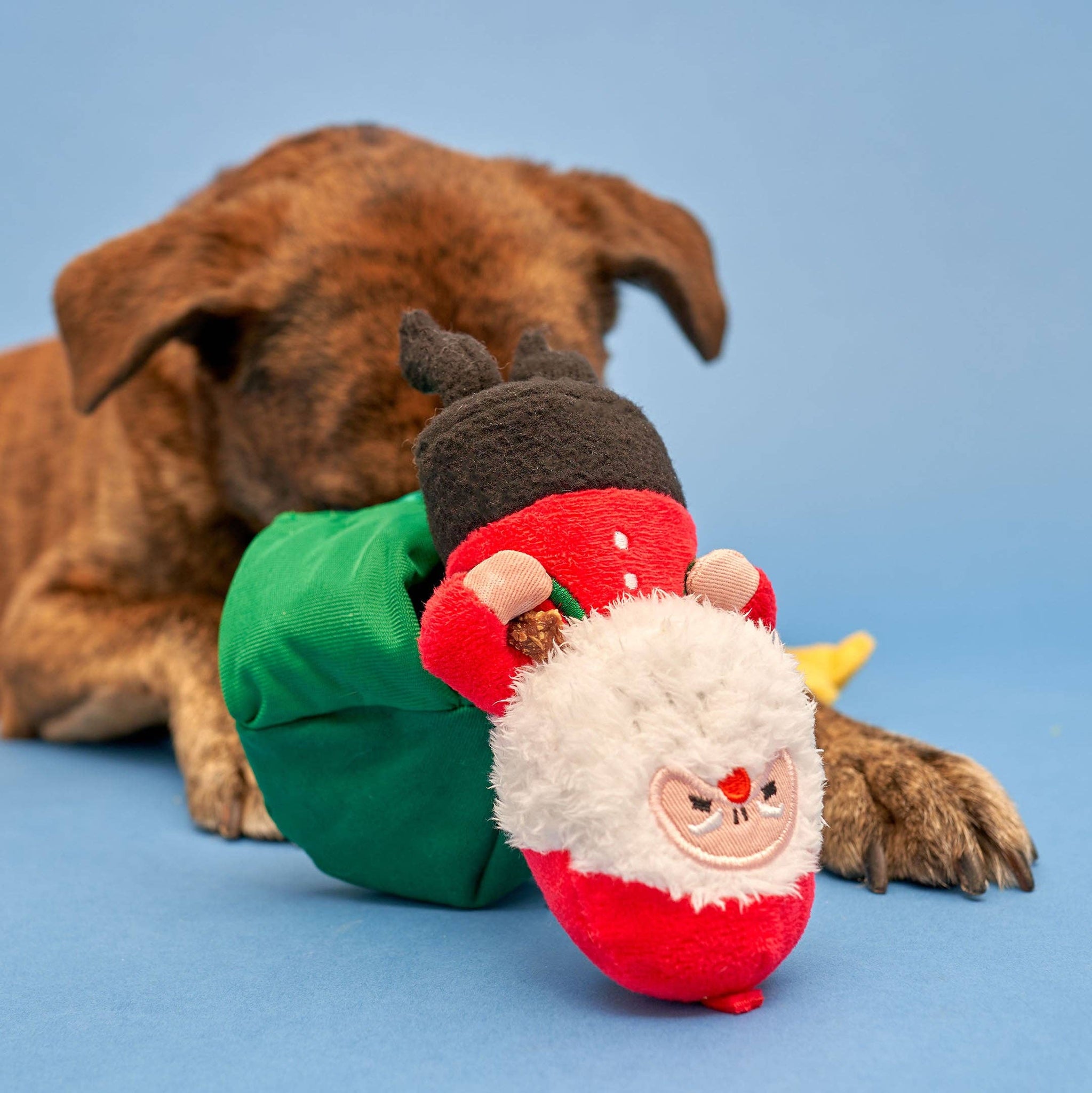 the furryfolks - Santa Paws Nosework Toy