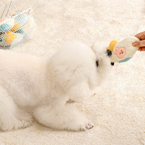Biteme Socks Rope Toy