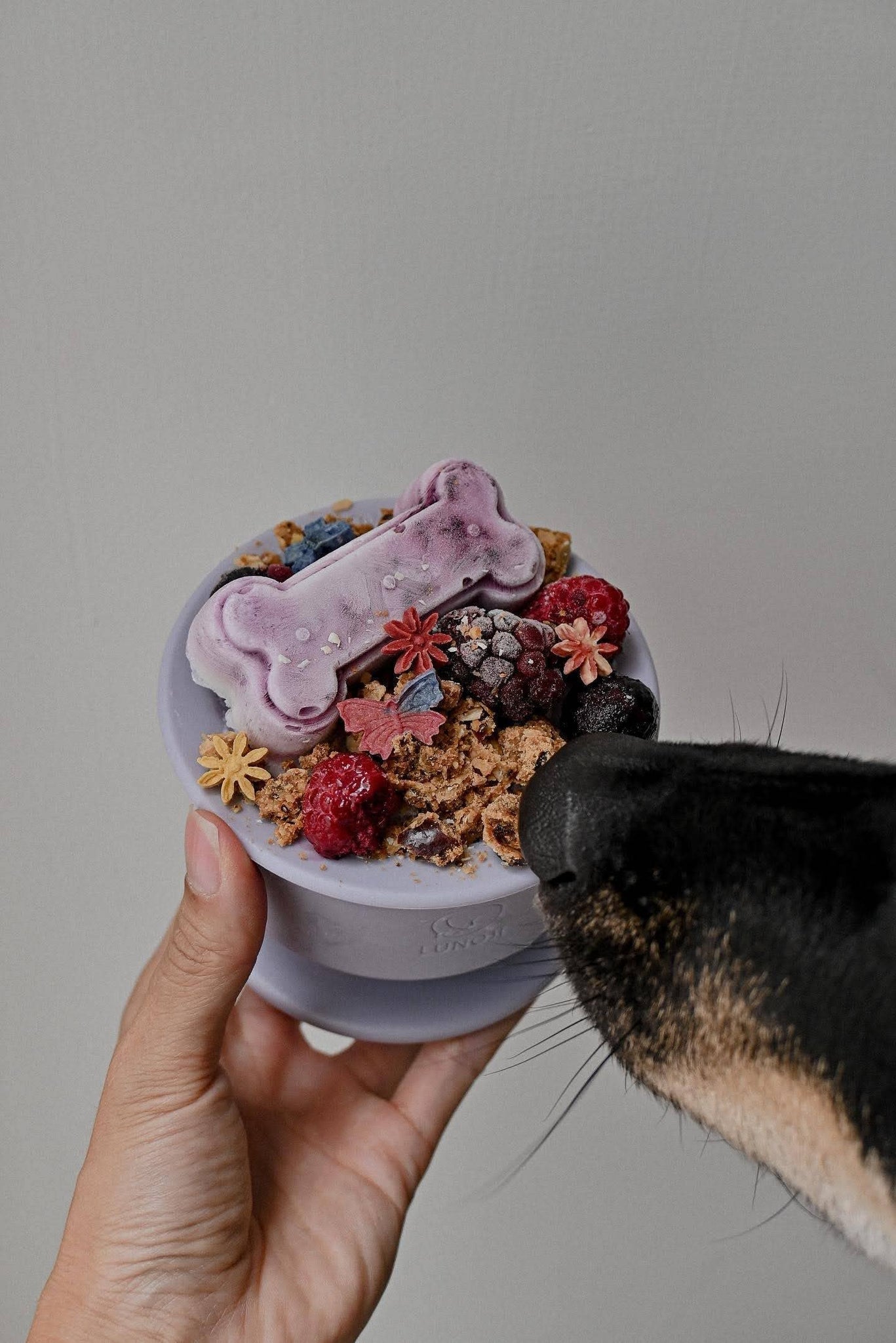 Lunoji - CHEWDEN Trove: Dog Enrichment Feeder | Frozen Treat Cup: Pastel Lilac