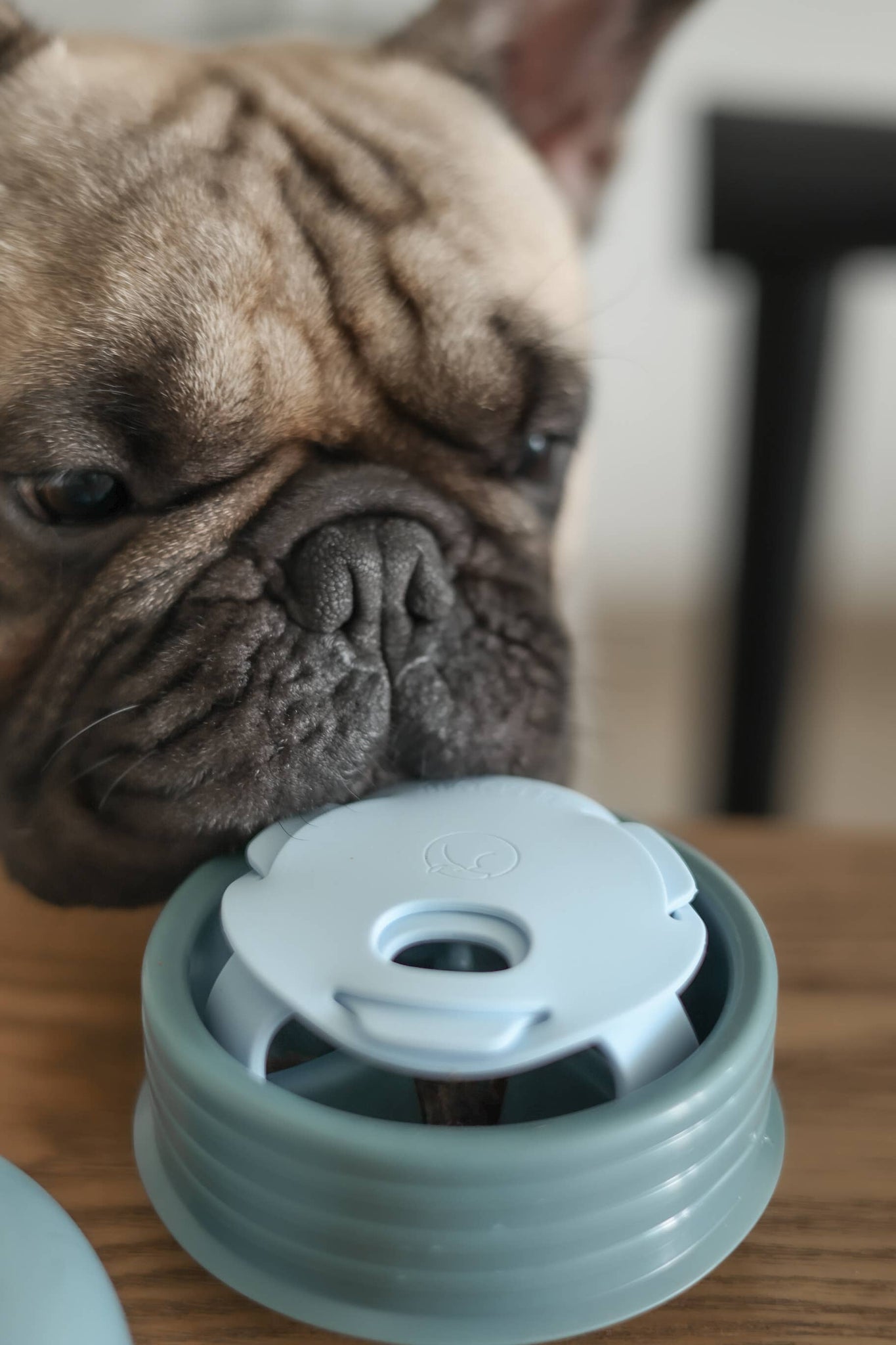 Lunoji - Pebble: All-in-One Dog Toy | Slow Feeder + Treat Dispenser: Coral Pink