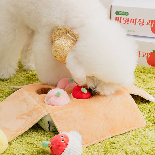Biteme Mixed Fruits Box Nosework Toy