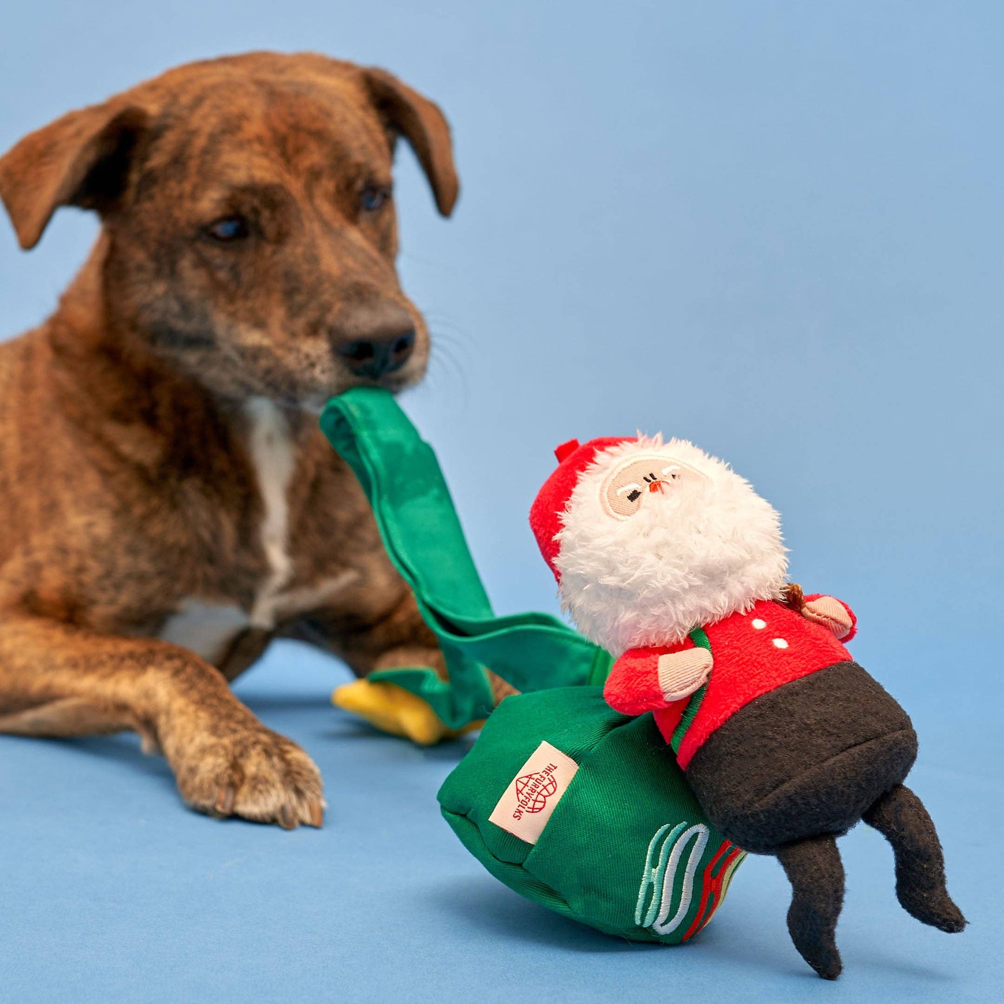 the furryfolks - Santa Paws Nosework Toy