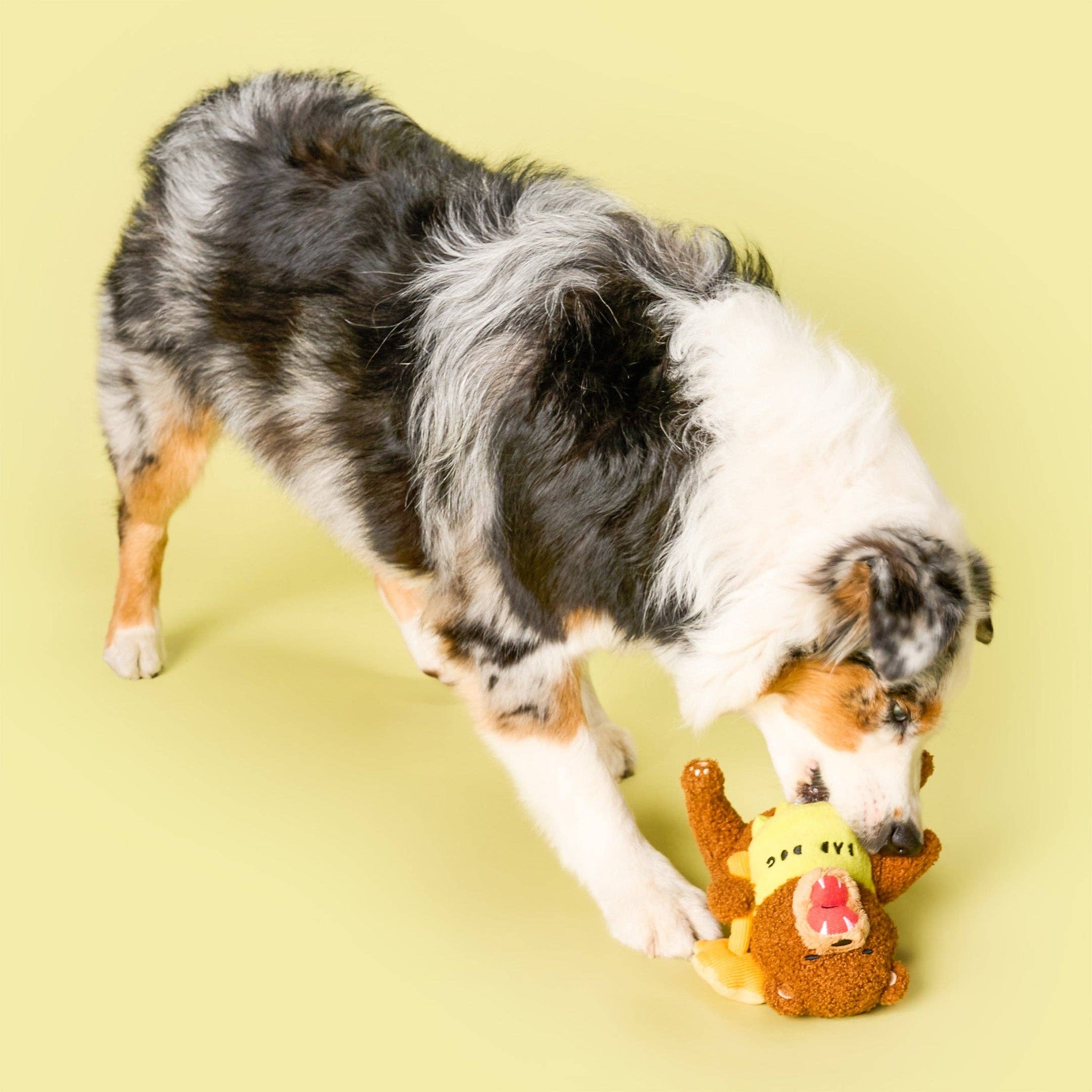 the furryfolks - Happy Bear Tofino Nosework Toy