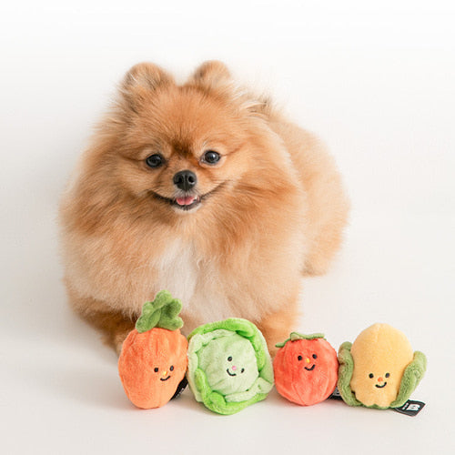 Biteme Vegetable Ball Toy
