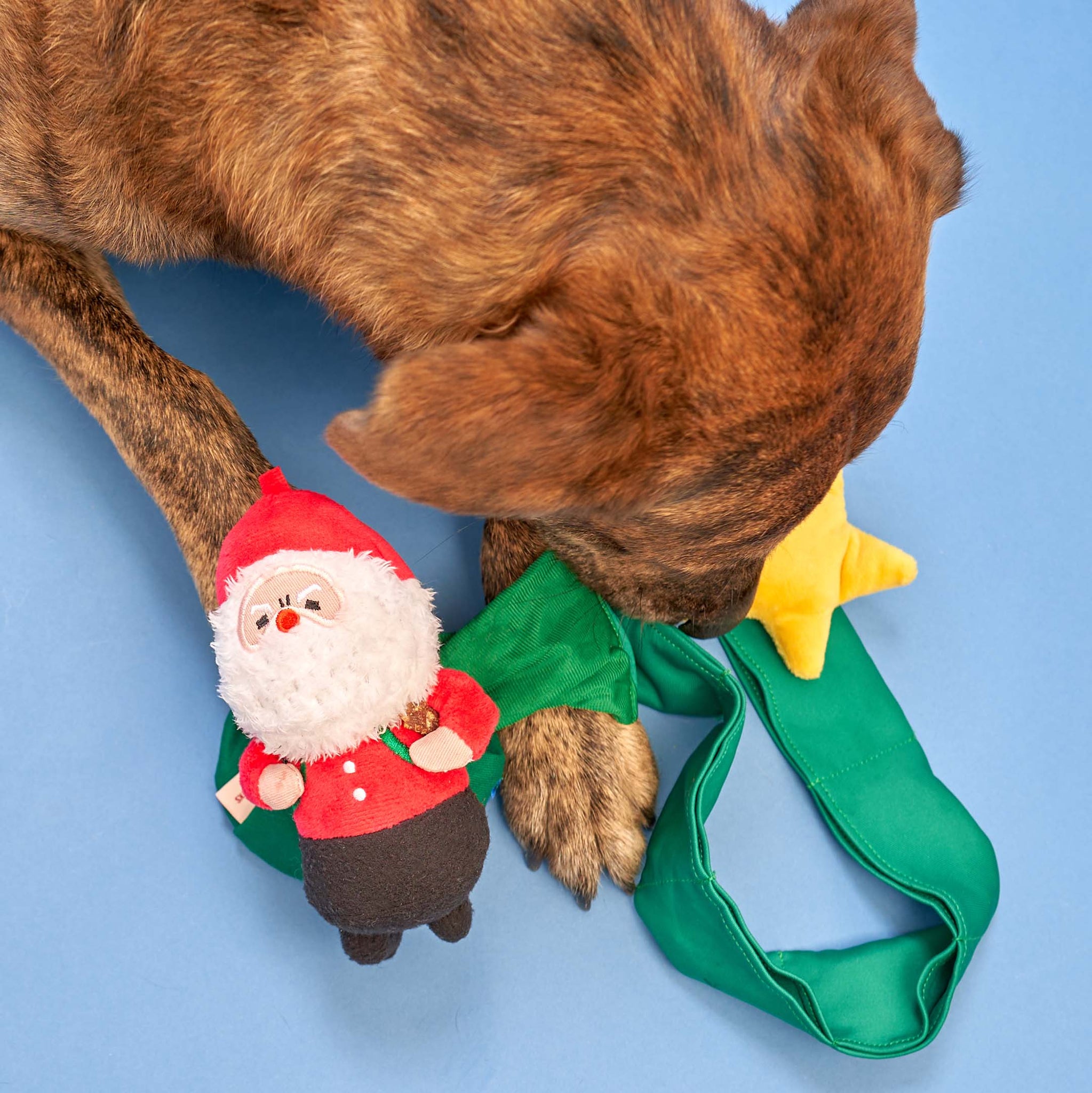 the furryfolks - Santa Paws Nosework Toy