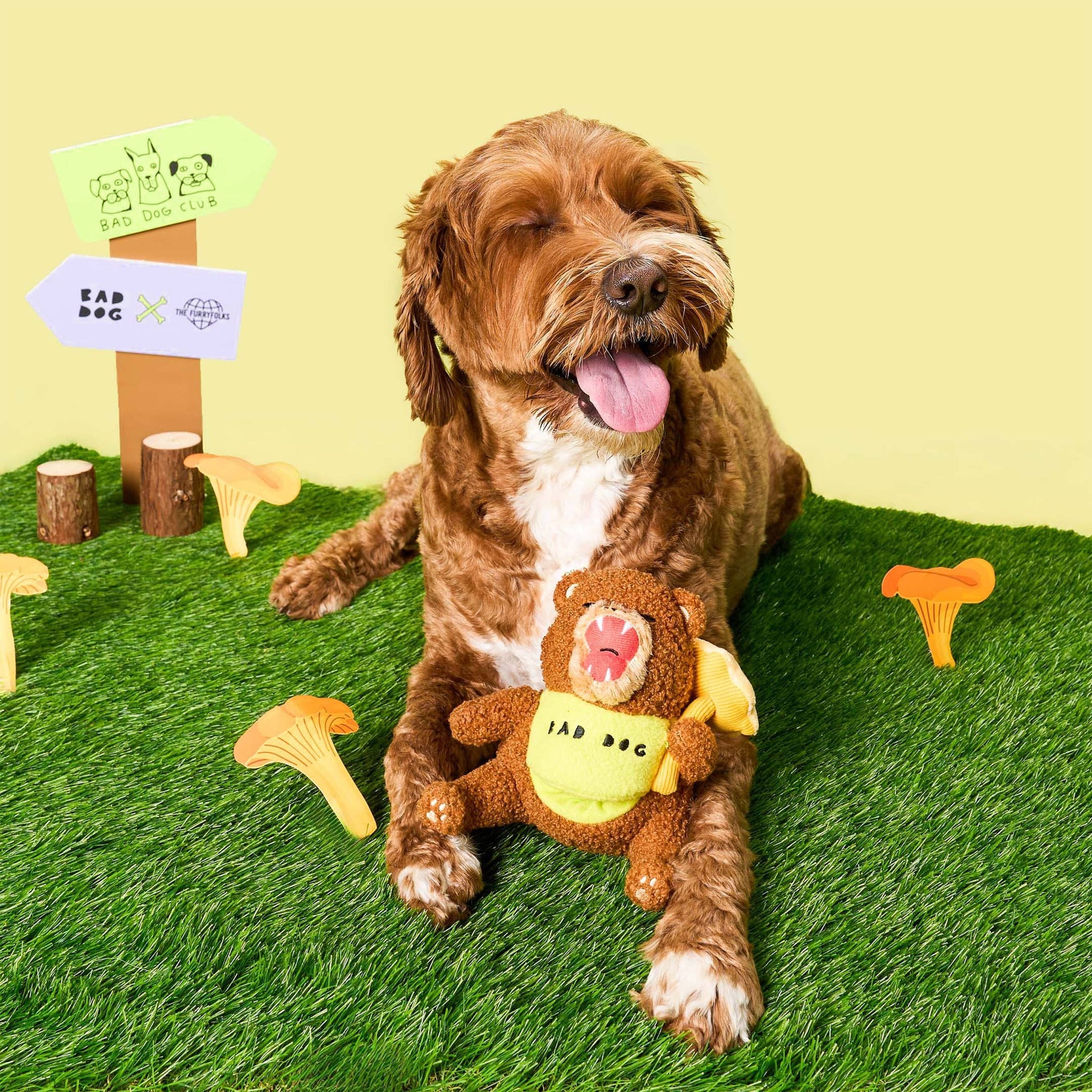the furryfolks - Happy Bear Tofino Nosework Toy
