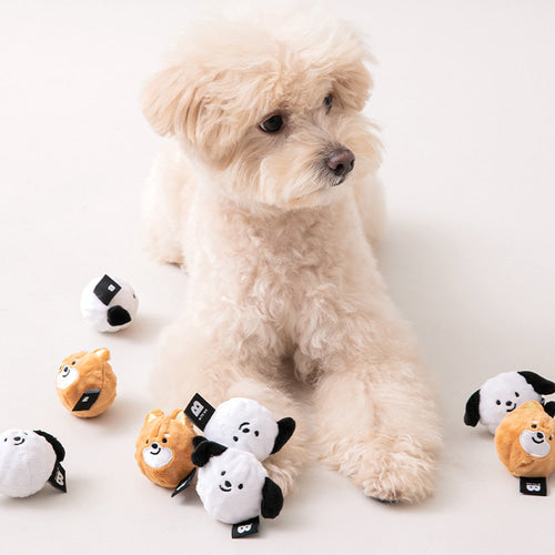 BITEME Dog Balls Toys Set