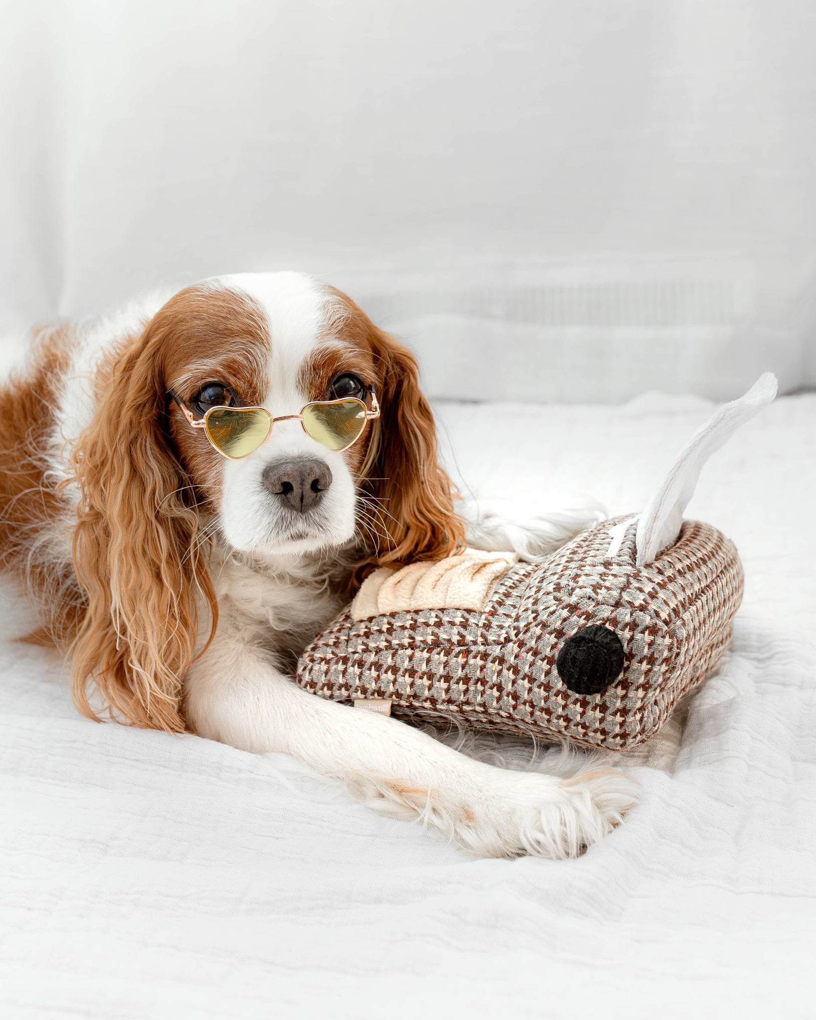 Lambwolf Collective - TYPEWRITER