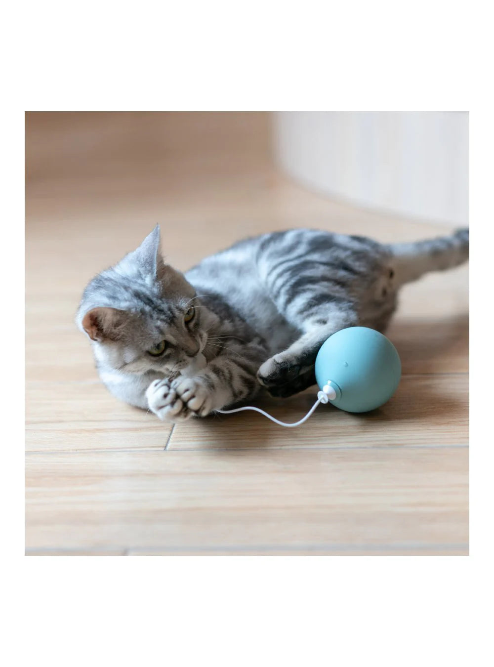 pidan "Balloon" Electronic Cat Teasing Toy