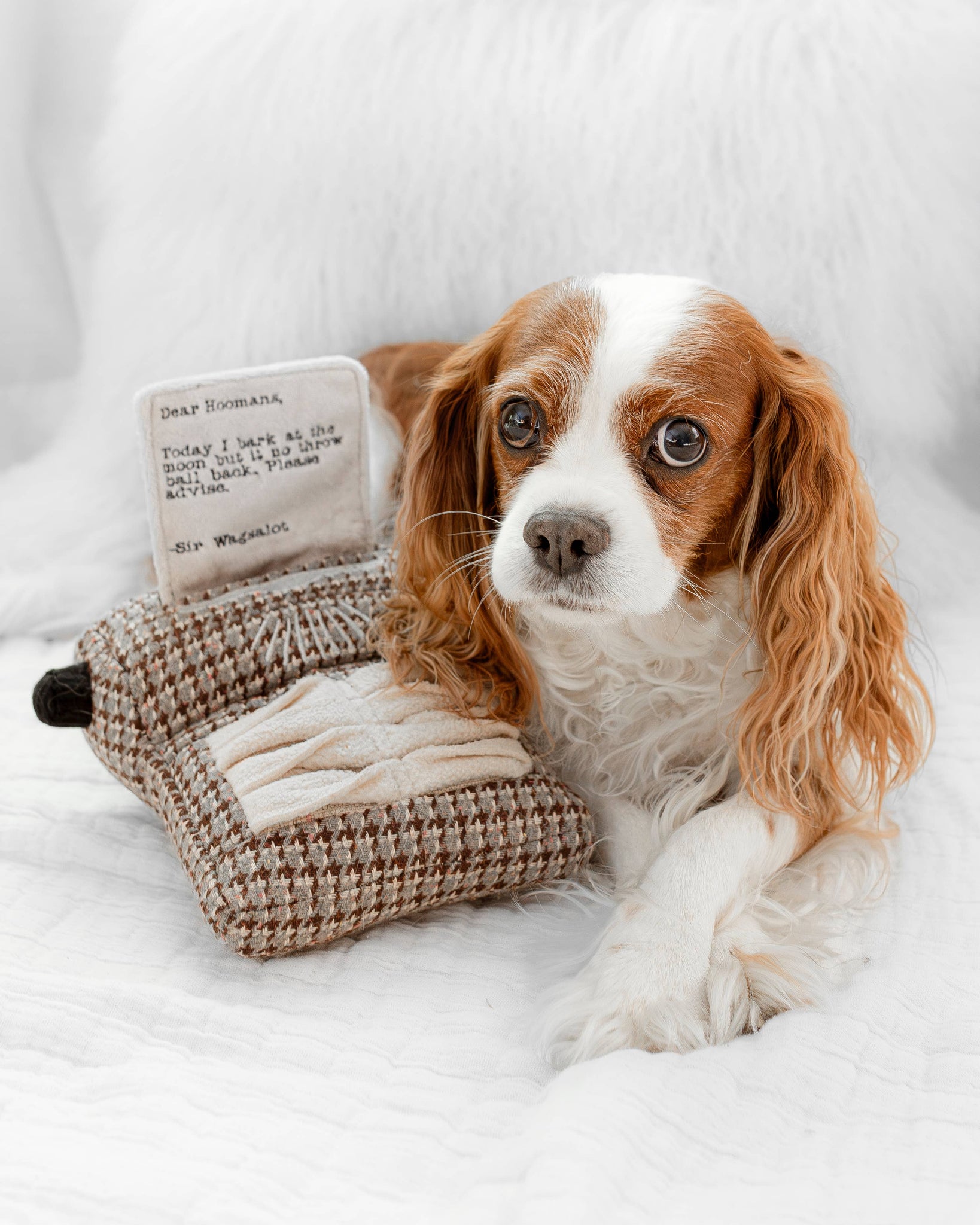 Lambwolf Collective - TYPEWRITER