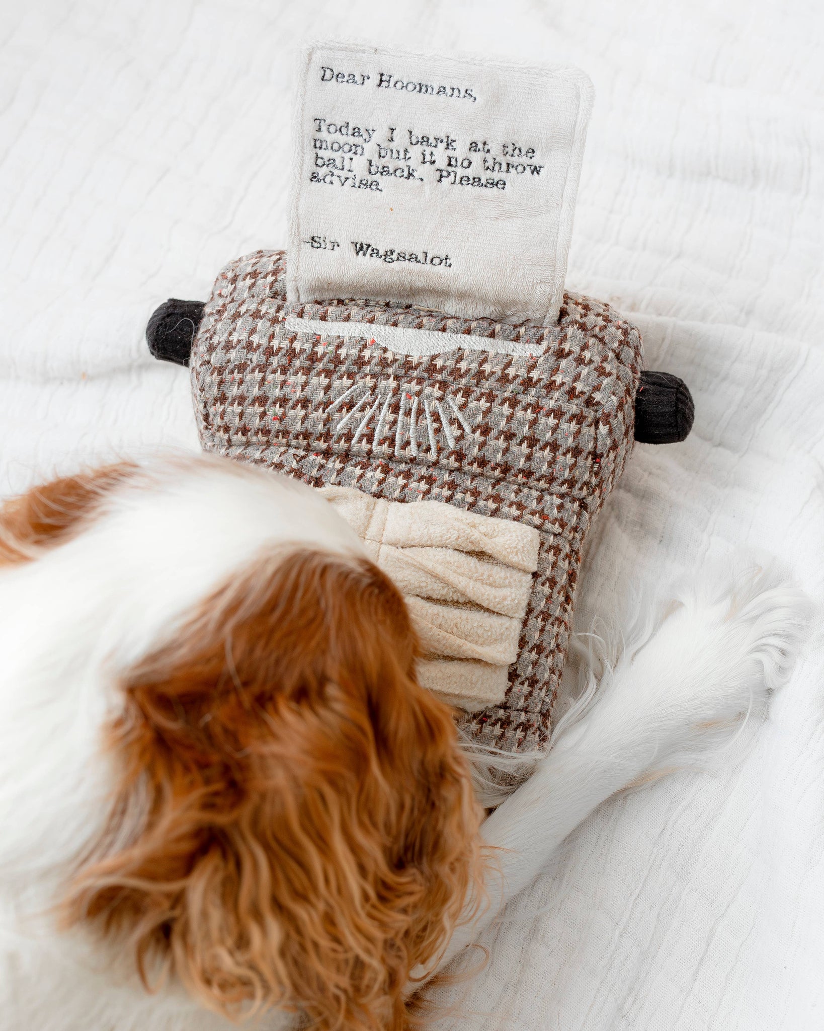 Lambwolf Collective - TYPEWRITER