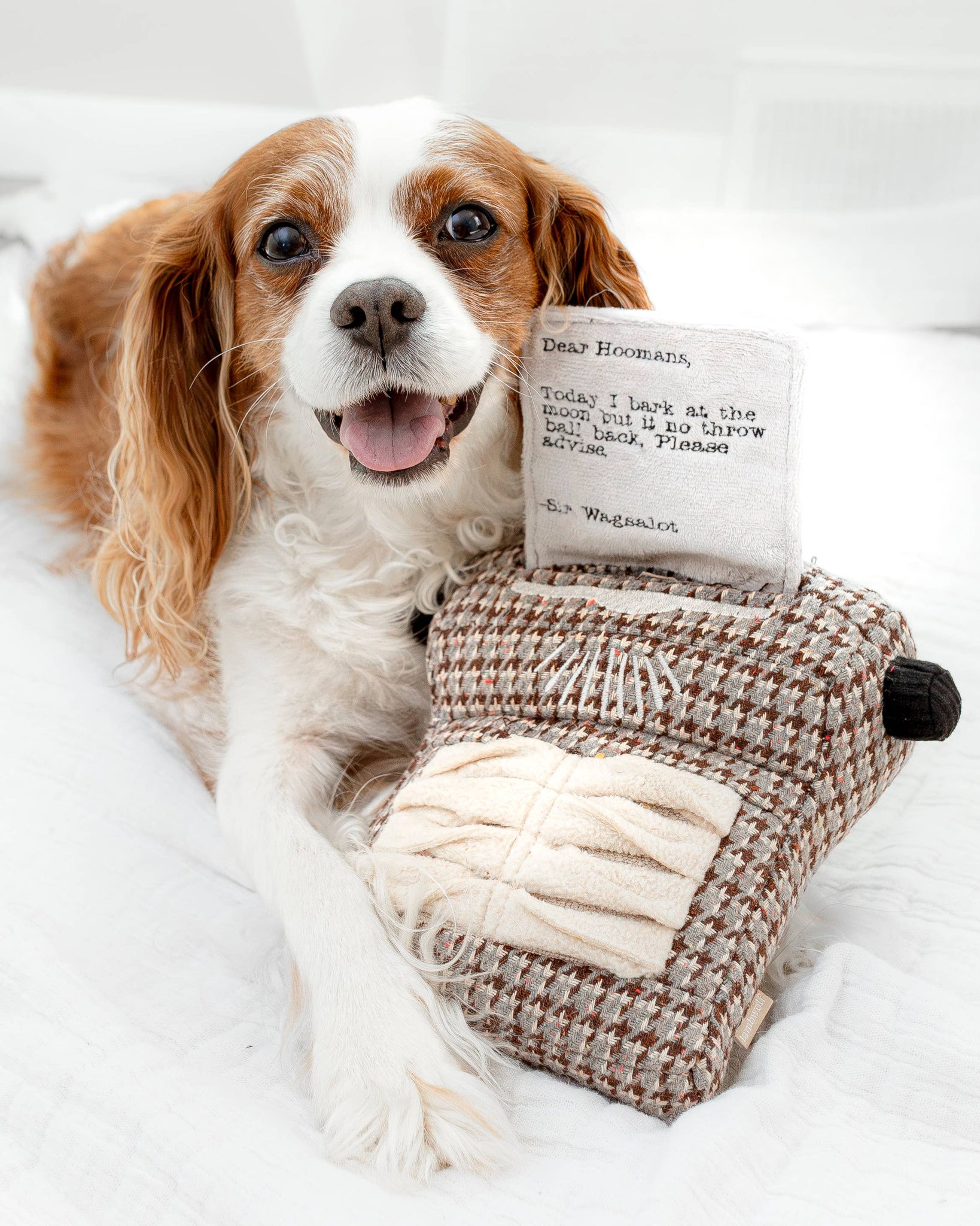 Lambwolf Collective - TYPEWRITER