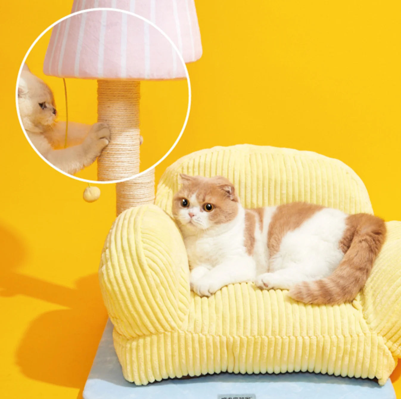 PurLab Cozy Sofa Style Cat Bed & Scratch Post