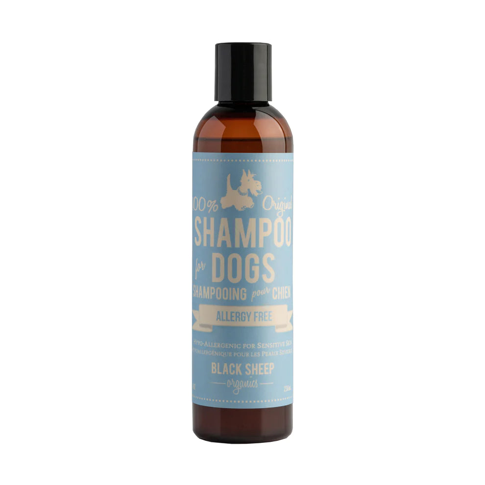 Allergy Free Organic Shampoo