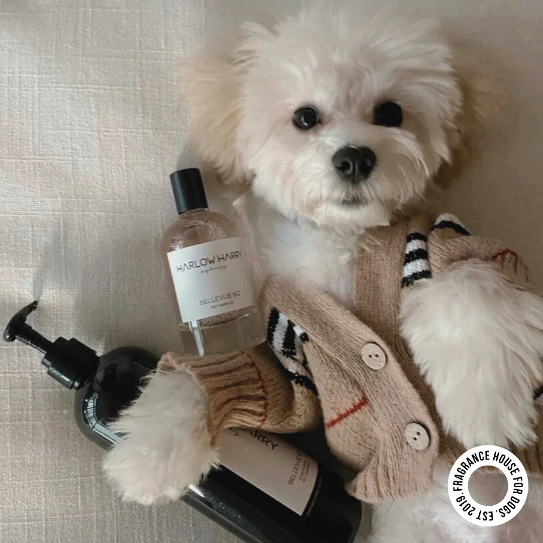 Pet Parfum | Bellevue 162