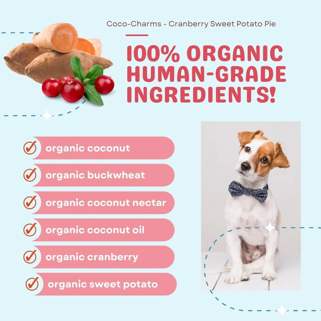 Coco-Charms Training Treats Cranberry Sweet Potato Pie