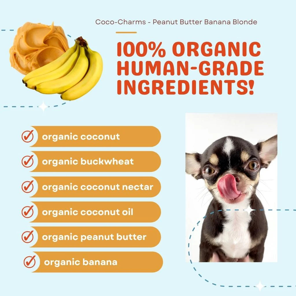Coco-Charms Training Treats Peanut Butter Banana Blondie