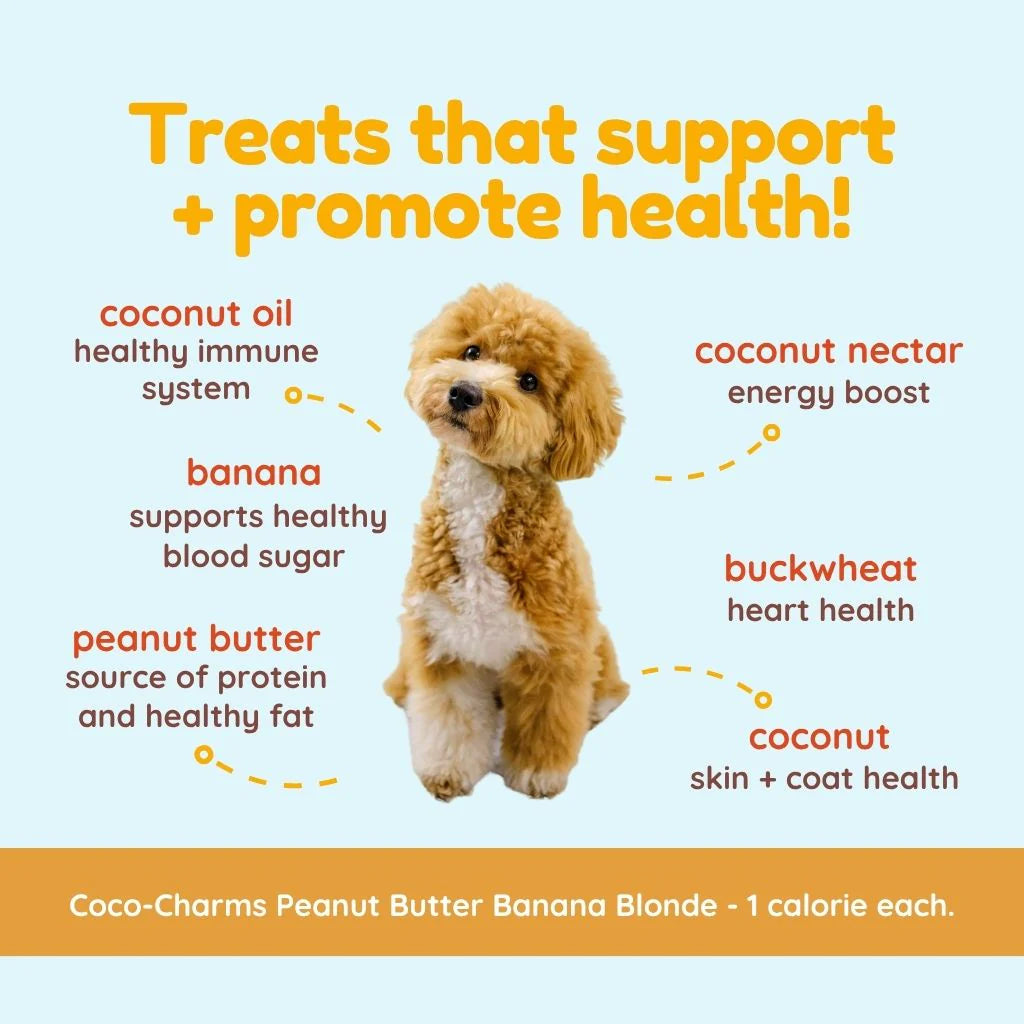 Coco-Charms Training Treats Peanut Butter Banana Blondie