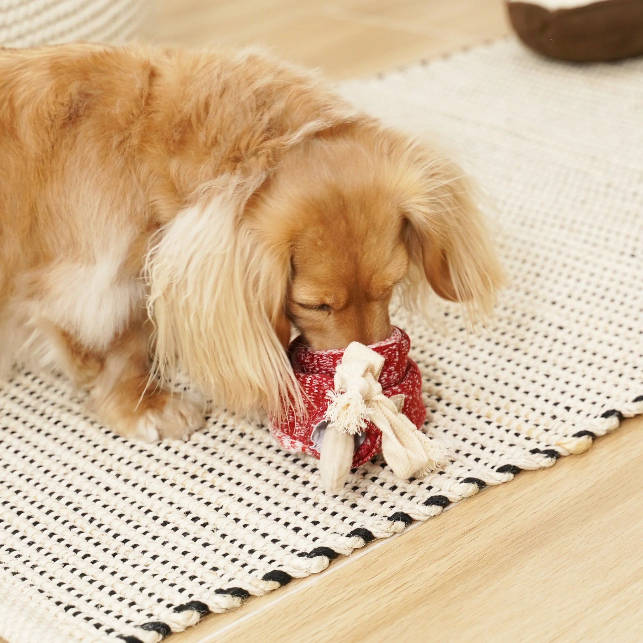 Lambwolf Collective - LOLLIPOP