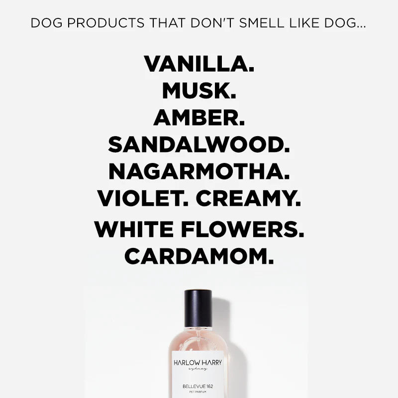 Pet Parfum | Bellevue 162