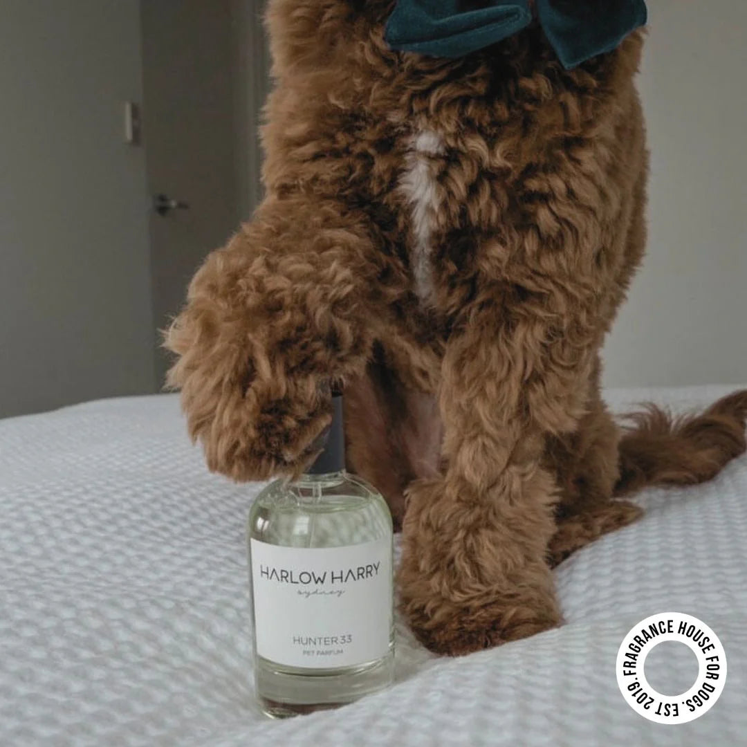 Pet Parfum | Hunter 33