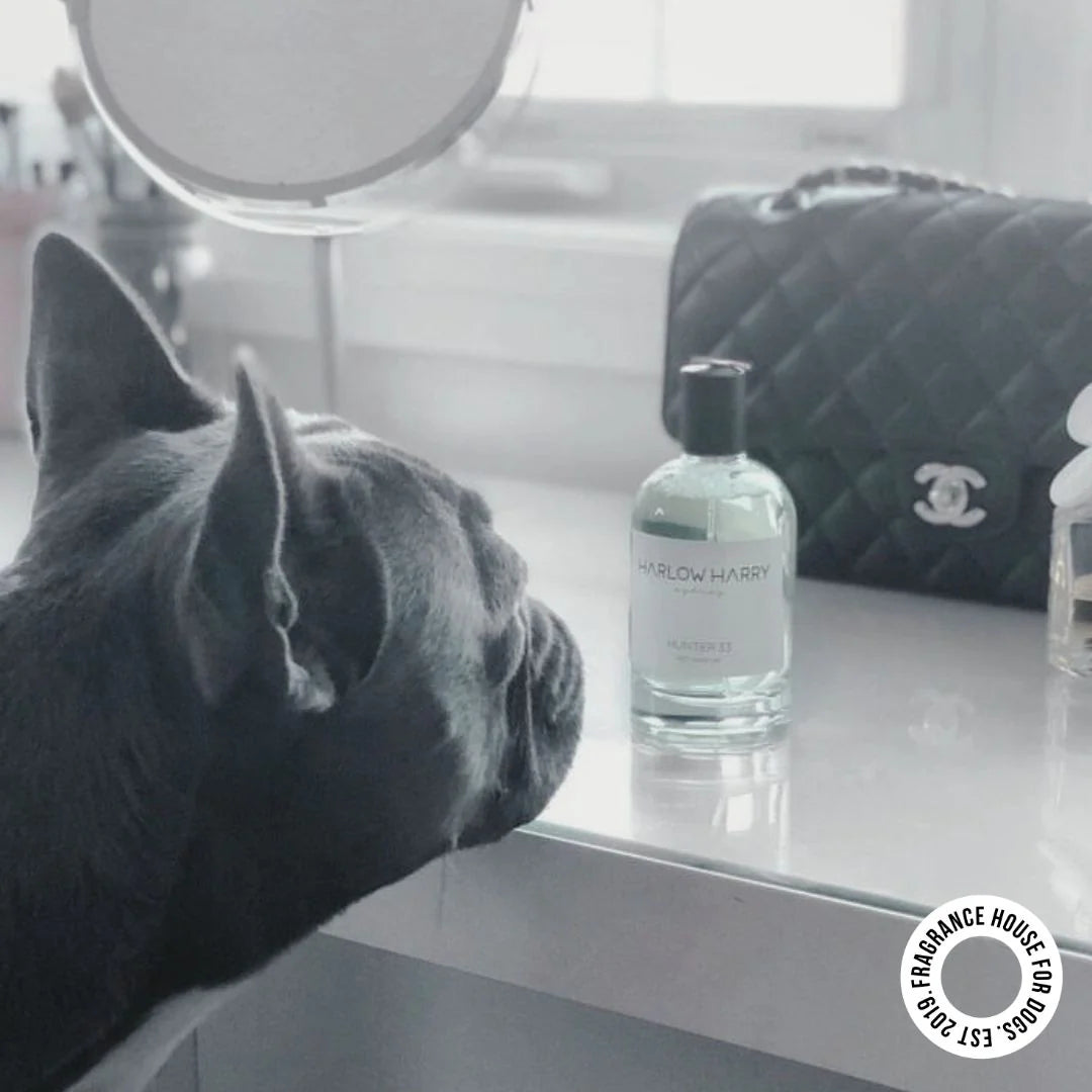 Pet Parfum | Hunter 33