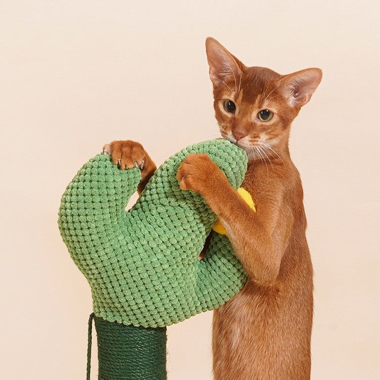 ZEZE Catcus Cat Scratching Post