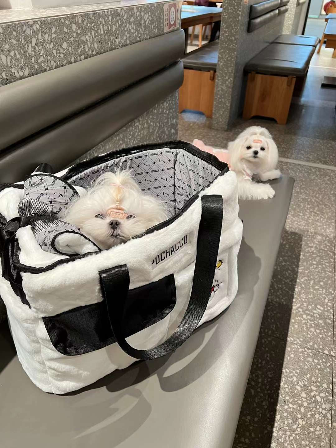 Pochocco Pet Carrier Bag