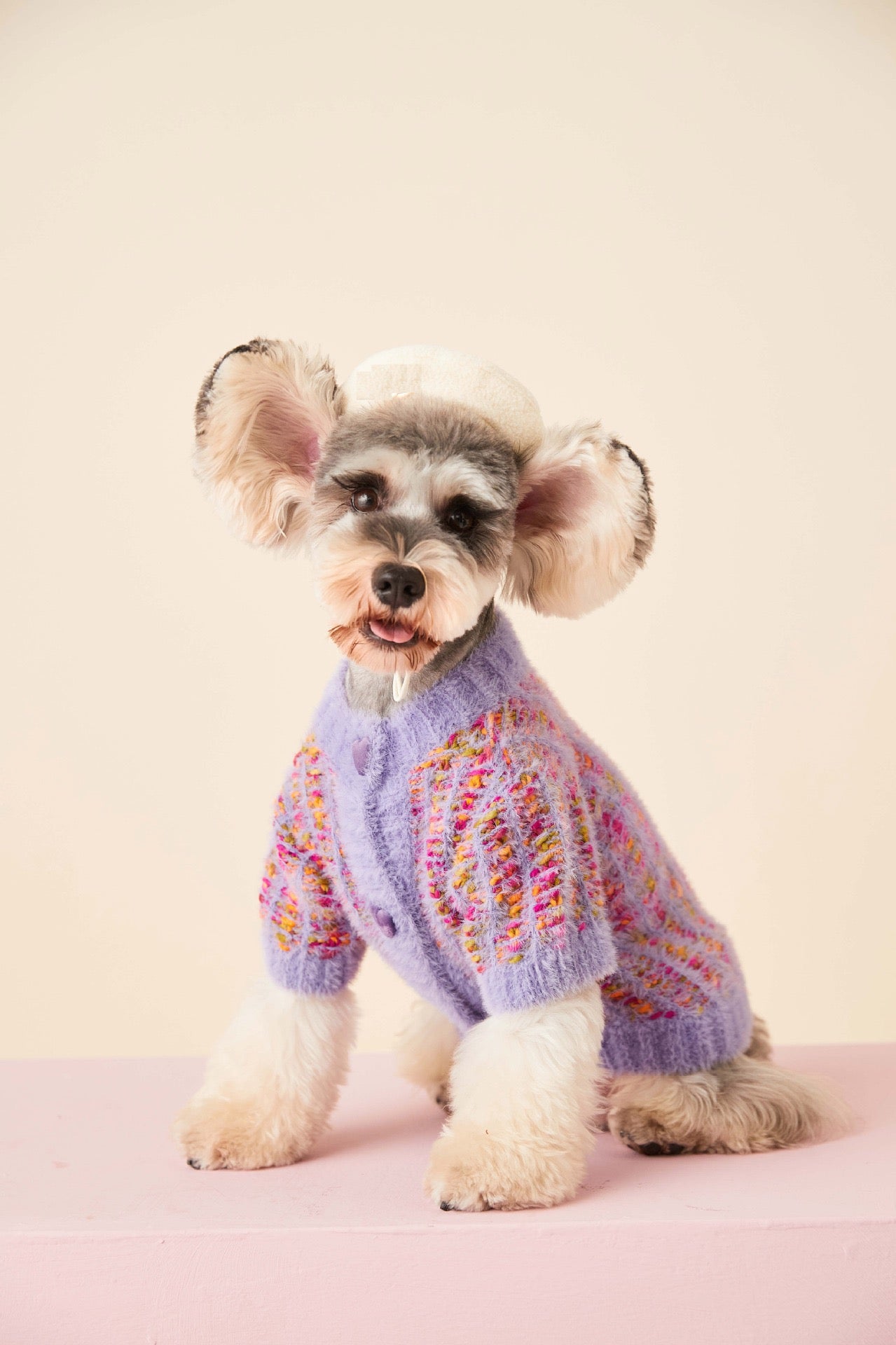 Little Heart Dog Sweater