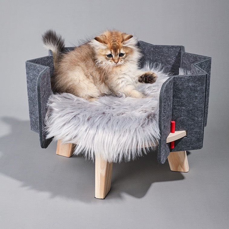 TinyPet - Star Pet Bed