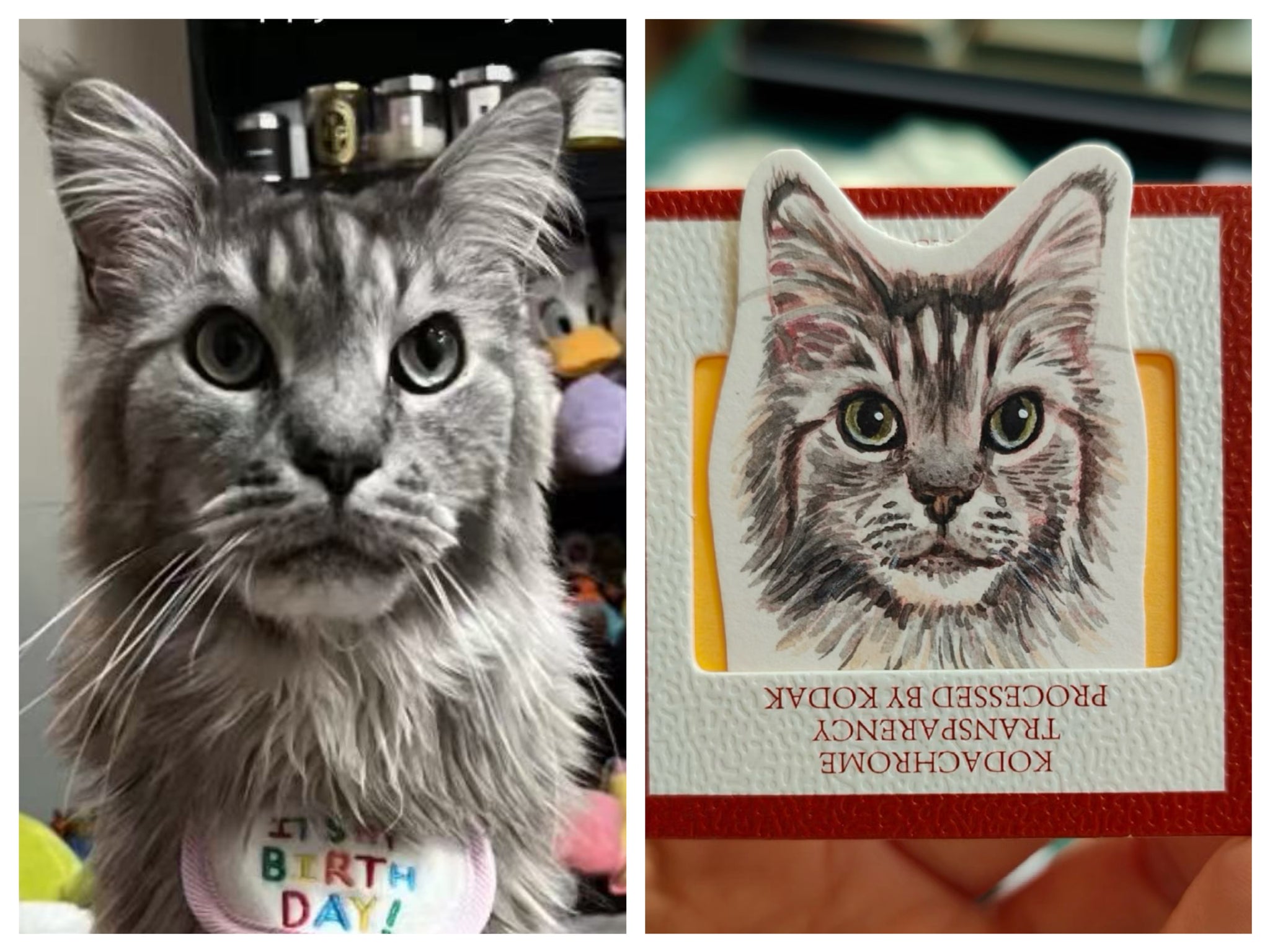 Mini Pet Portrait Charm