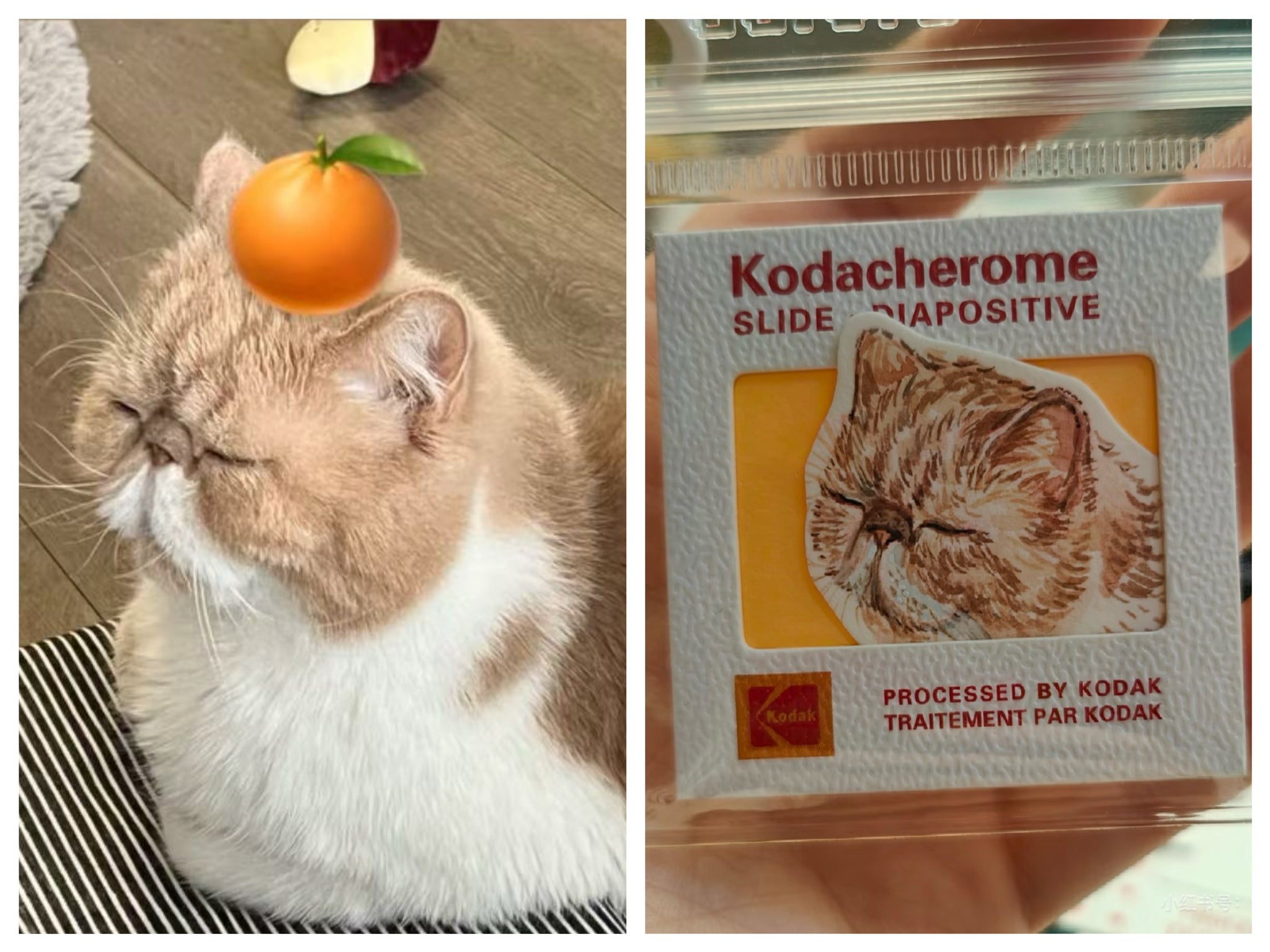 Mini Pet Portrait Charm