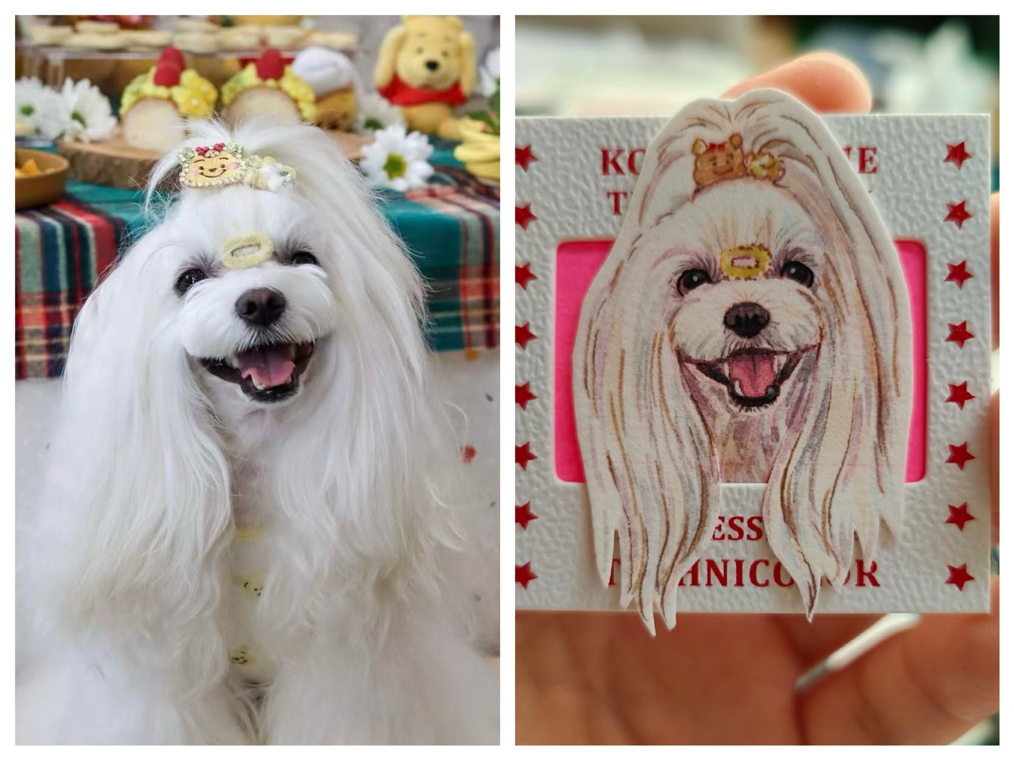 Mini Pet Portrait Charm