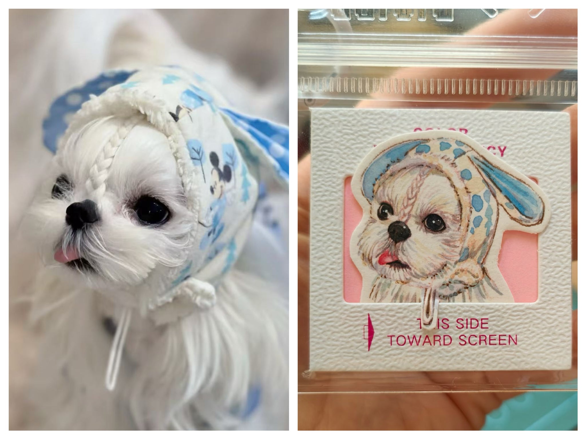 Mini Pet Portrait Charm