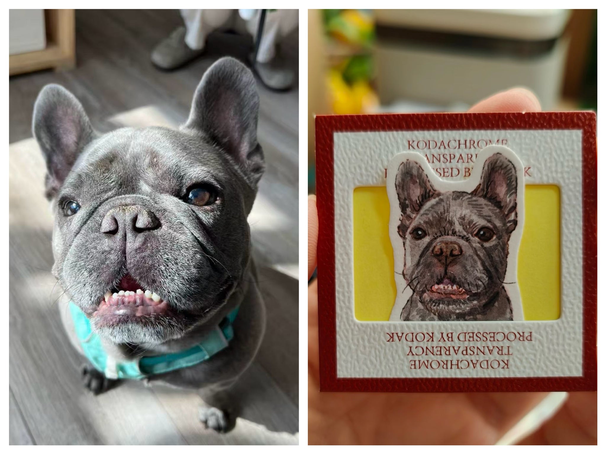 Mini Pet Portrait Charm