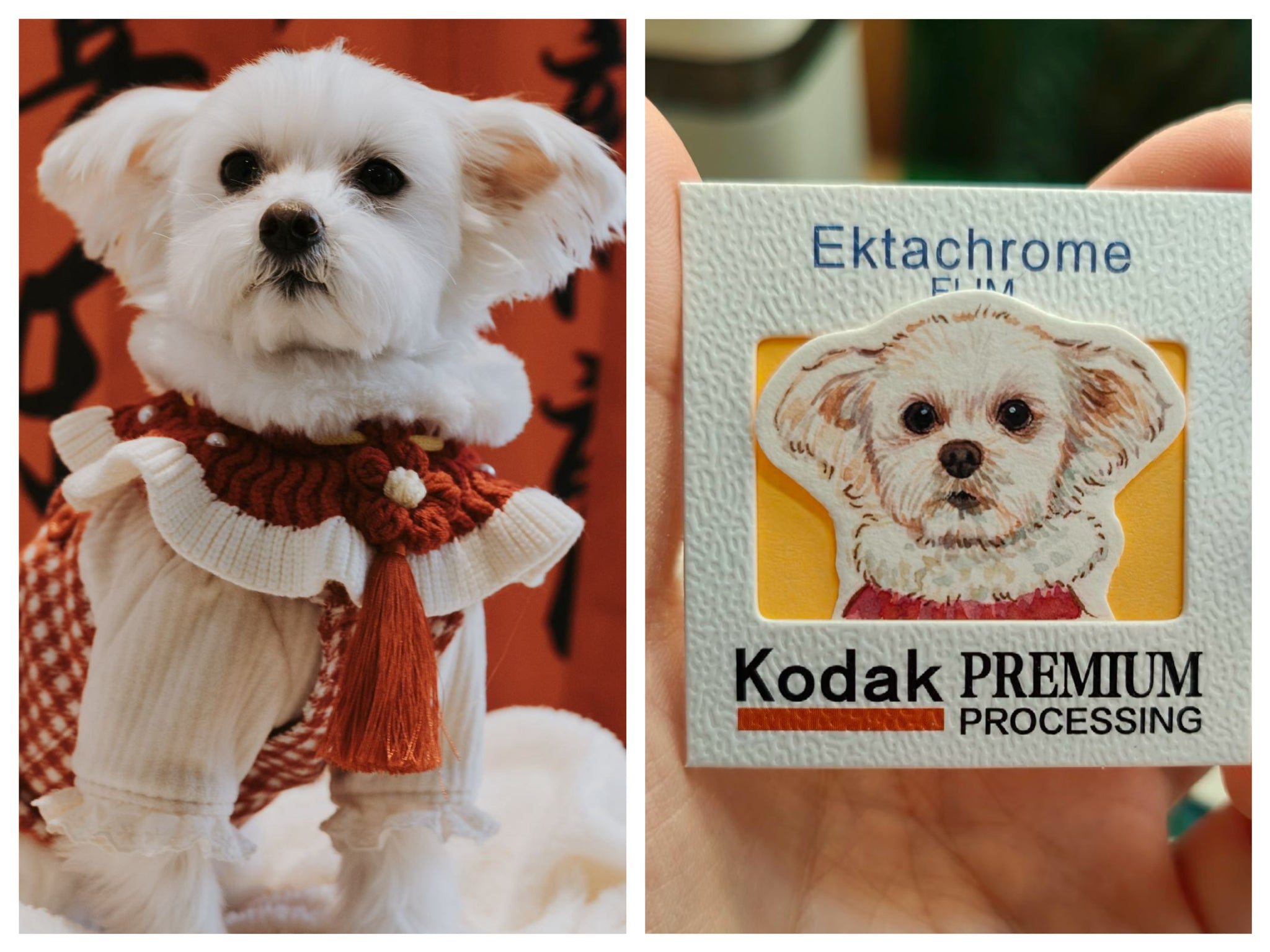 Mini Pet Portrait Charm