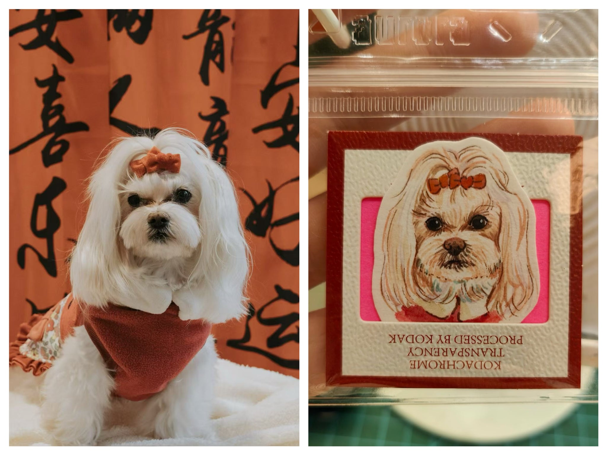 Mini Pet Portrait Charm