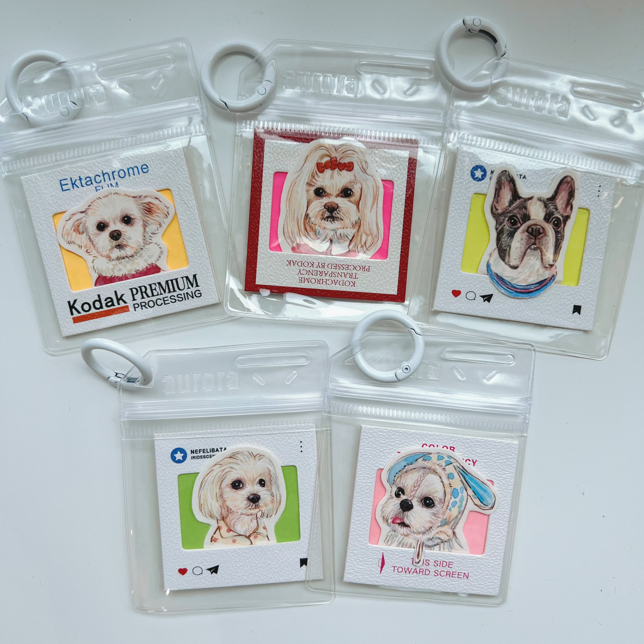 Collection of dog-themed cards in clear plastic sleeves on a white background